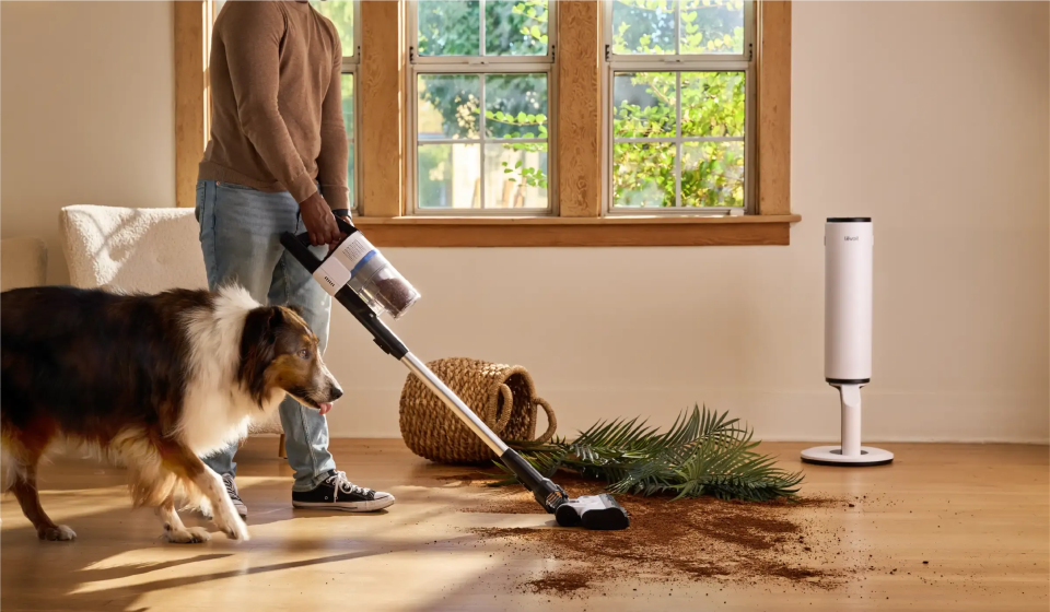 How to Choose the Best Vacuum Cleaner