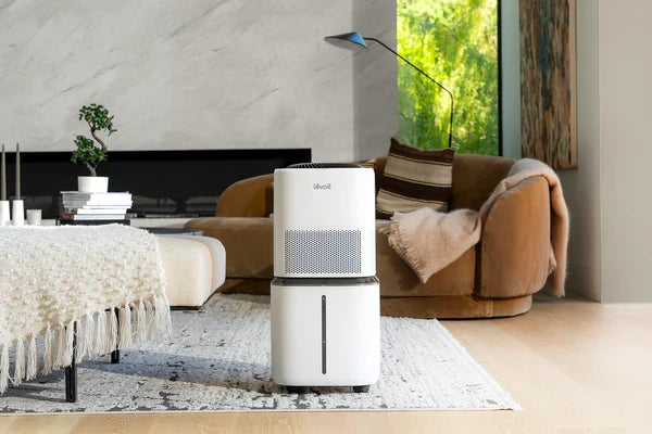 10 Tips to Get Rid of Dust Mites