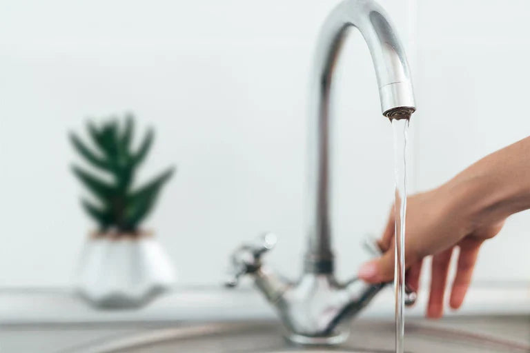 Levoit Humidifier with tap water