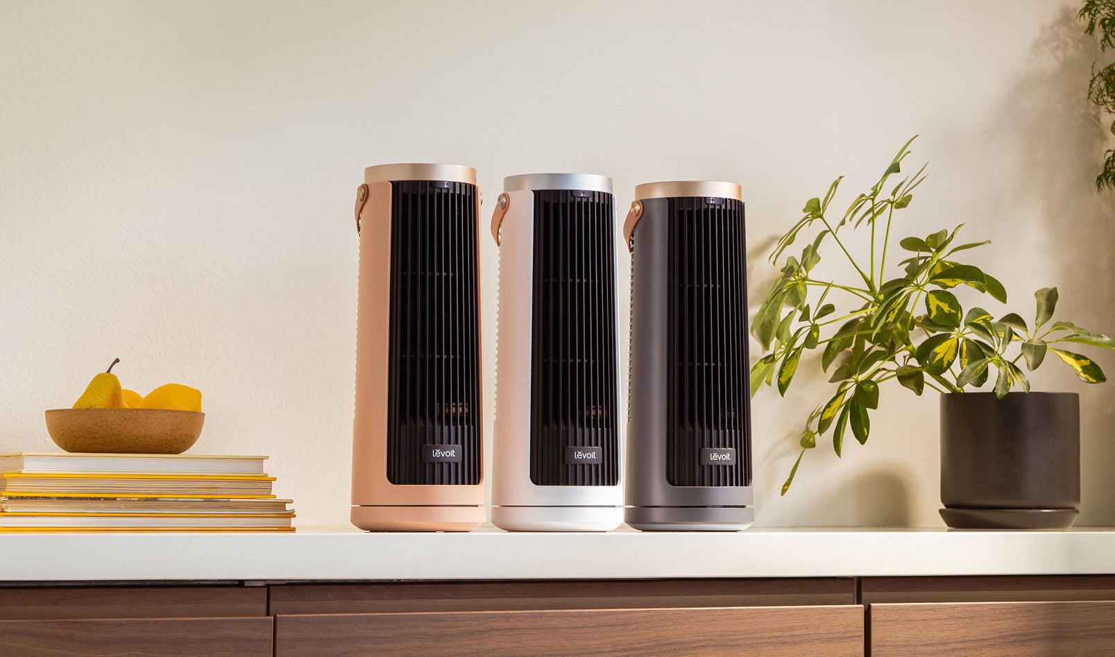 Portable Fan