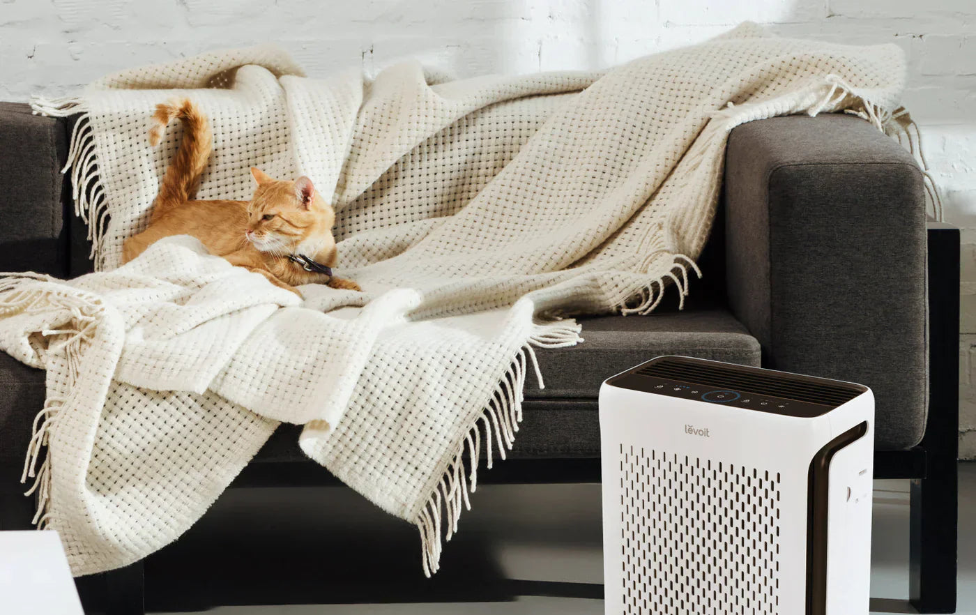 5 Reasons Pet Owners Should Consider an Air Purifier