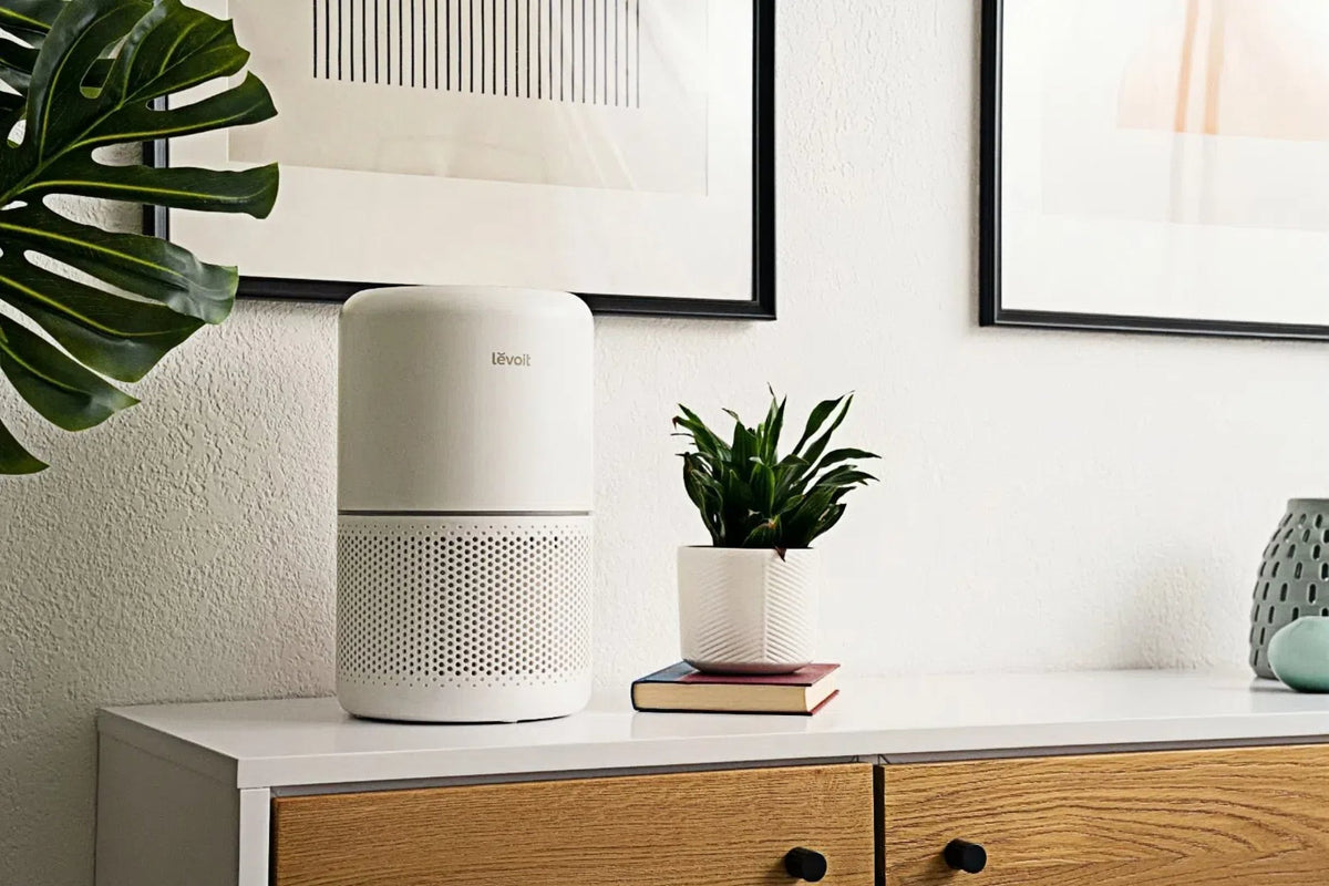Levoit Best Air Purifier for Pollen Protection