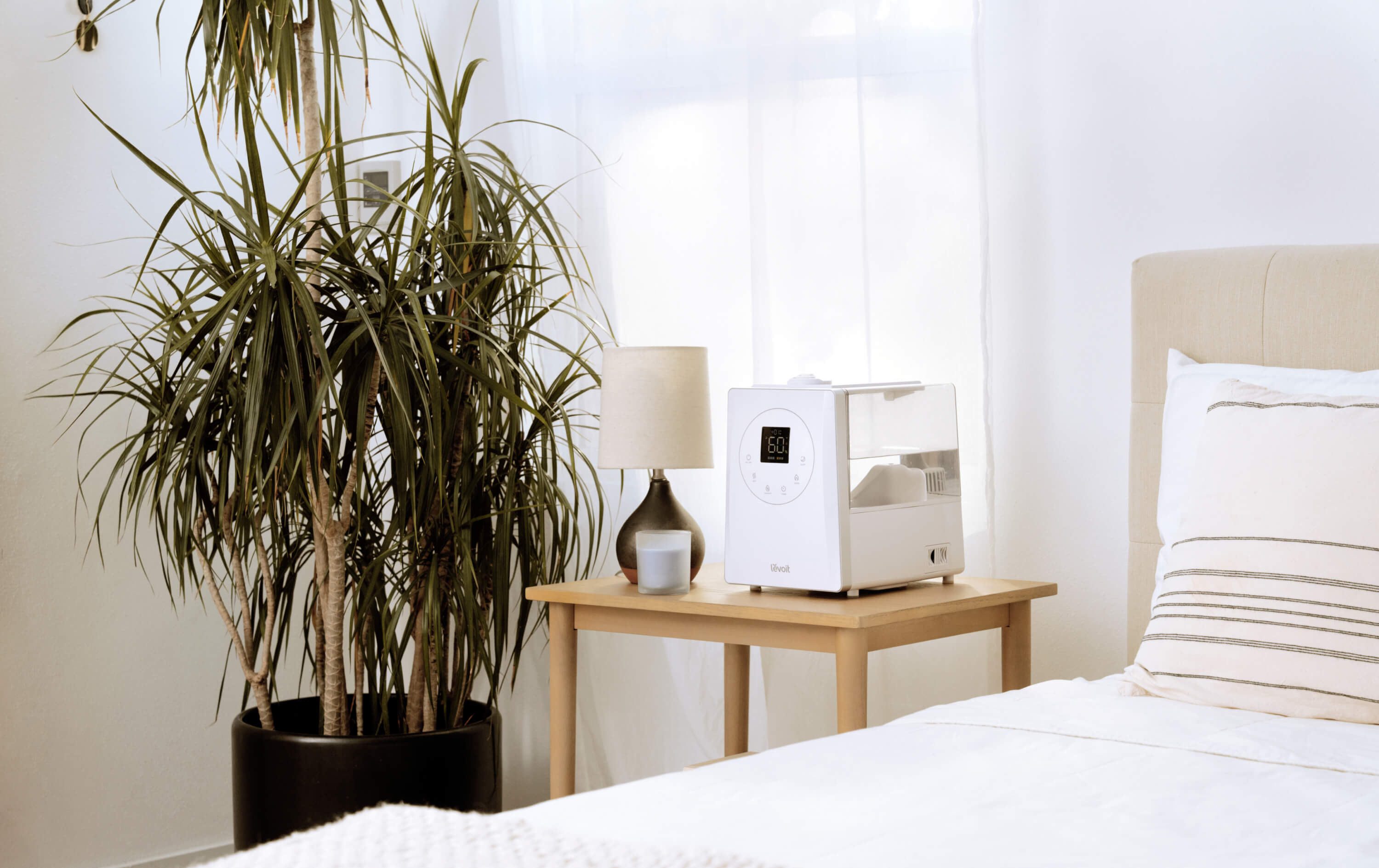 Optimizing Your Indoor Air: Air Purifier Maintenance