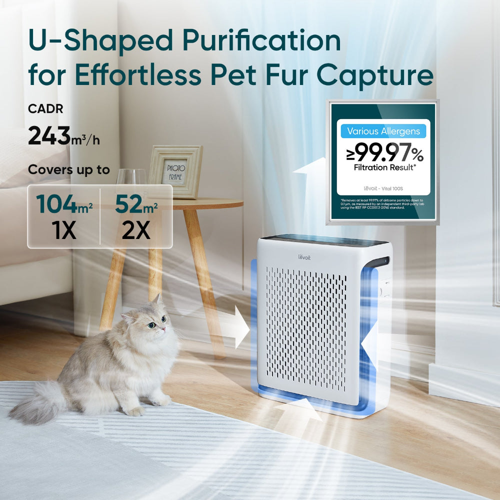 Levoit Vital 100S true HEPA air purifier with carbon filter, U-shaped airflow design, CADR 243 cubic metres per hour, cat on carpet