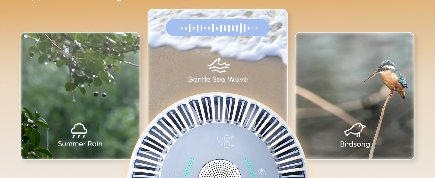 Levoit Sprout hepa air purifier with white noise like summer rain, gentle sea wave or birdsong