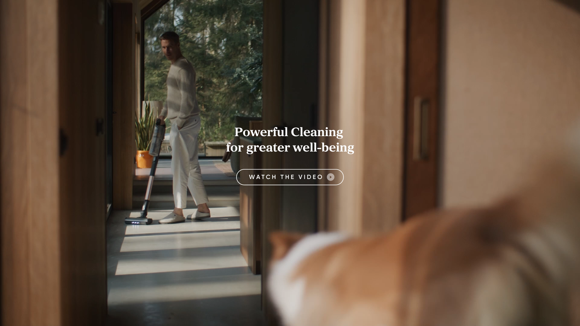 Levoit LVAC-300 cordless stick vacuum, lightweight vacuum for effortless, powerful cleaning around the home