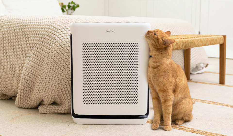 Levoit best air purifier for pet hair