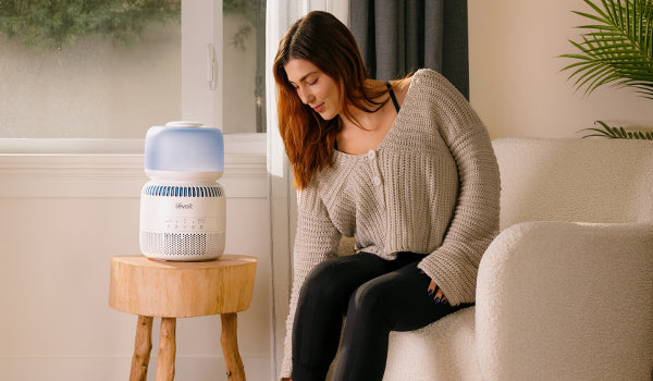 Levoit Evaporative humidifiers