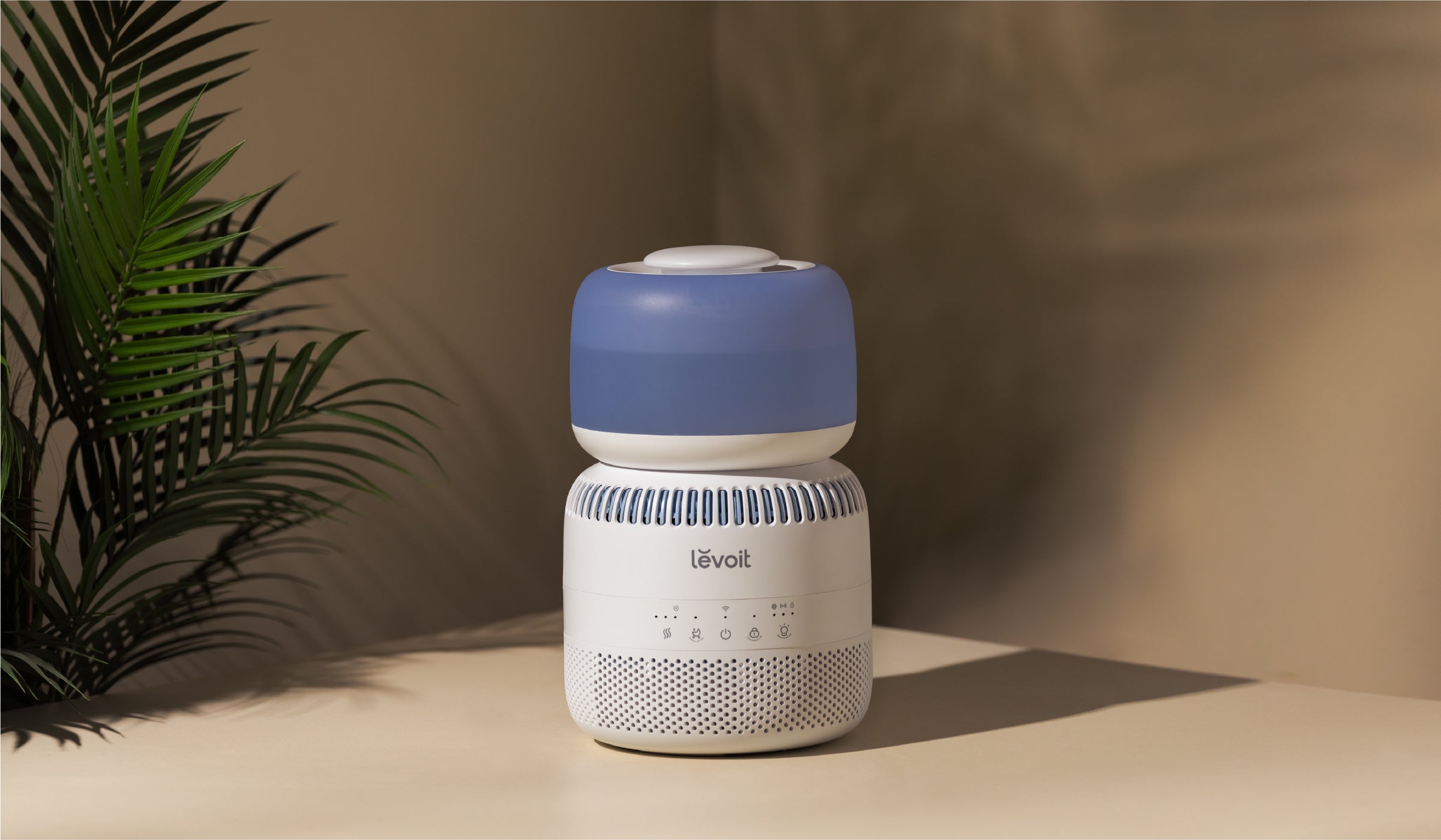 Where to Place Your Humidifier for the Best Performance?