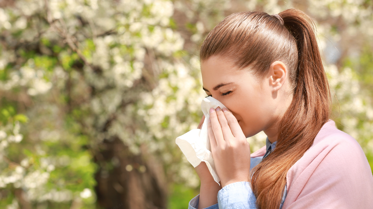 Levoit Air Purifiers for Allergens: 2026 Buying Guide