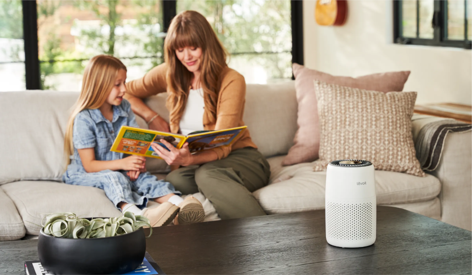 Levoit air purifier for spring allergy protection