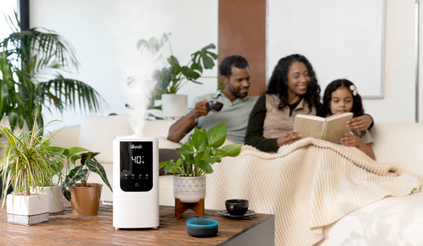 Levoit evaporative vs ultrasonic humidifier for family