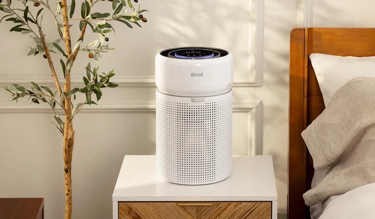 Levoit Carbon Filter air purifier-Eleva 300X