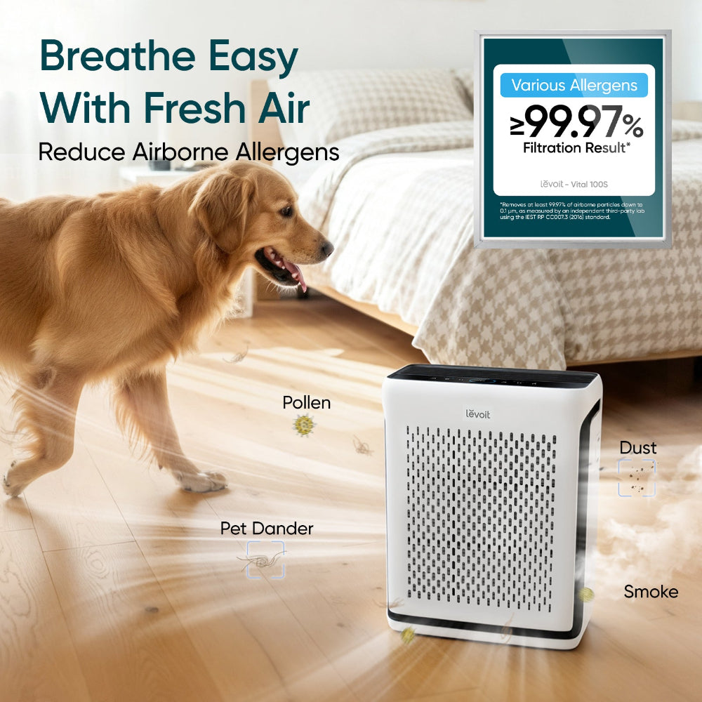 Levoit Vital 100S true HEPA air purifier with carbon filter, 99.97% filtration of pollen, dust, pet dander and smoke, dog in bedroom