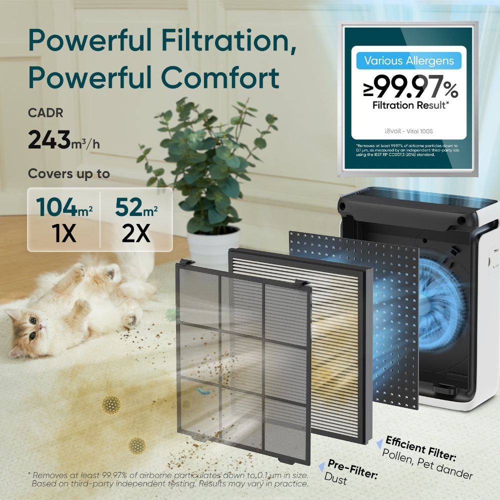 Levoit Vital 100S true HEPA air purifier with carbon filter, CADR 243 cubic metres per hour, pre-filter and efficient filter stages, cat on carpet