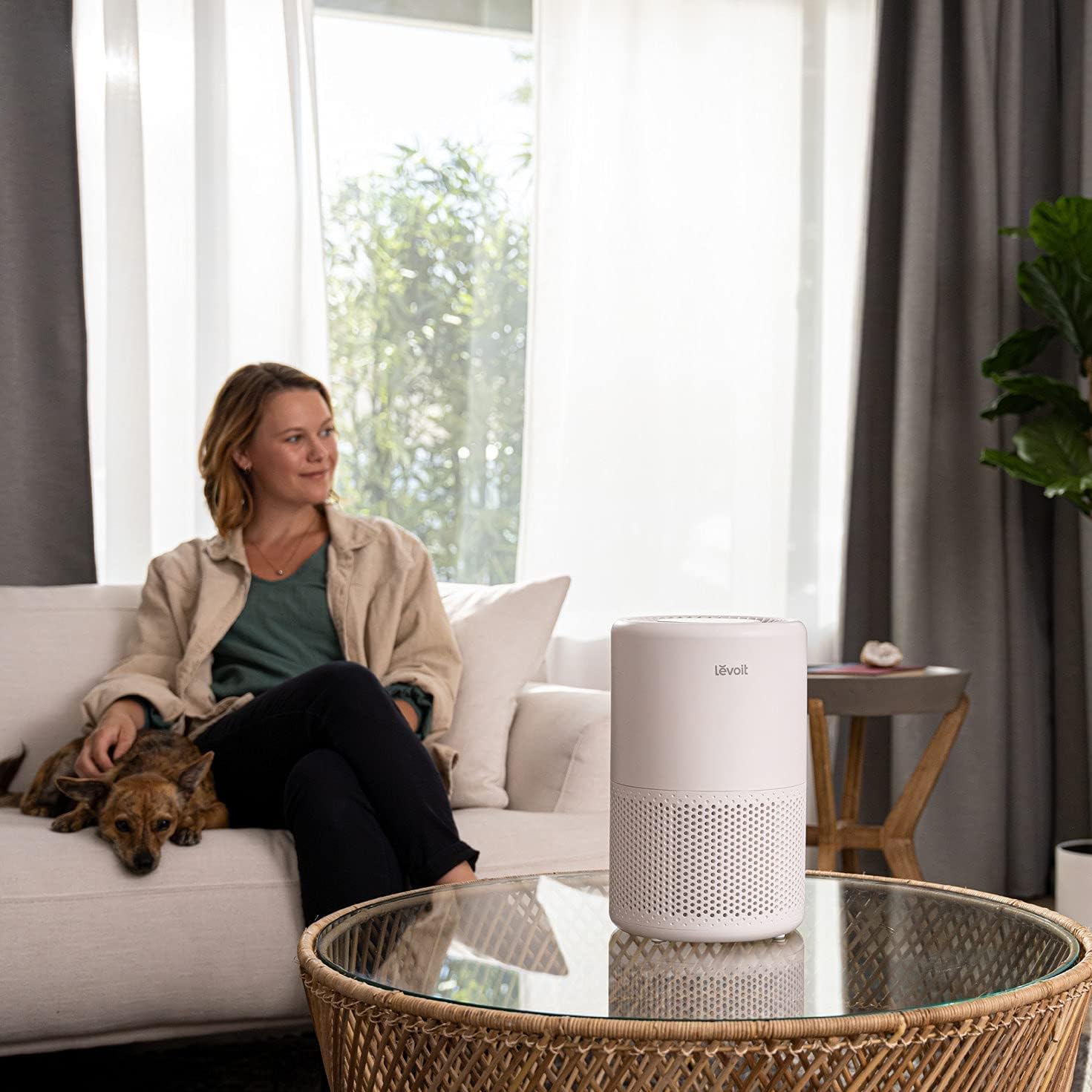 Levoit Core 200S Smart Air Purifier in living room with dog, providing clean air and allergy relief, featuring sleek design and advanced filtration.