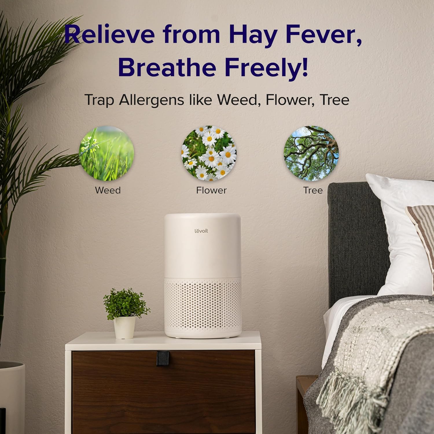 Levoit Core 200S Smart Air Purifier for hay fever relief, effectively traps allergens like weed, flower, and tree pollen.