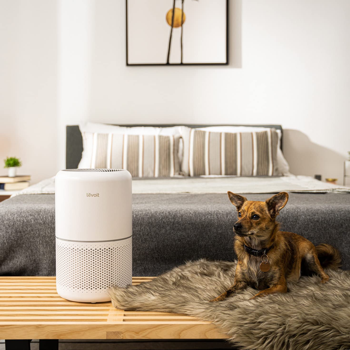 Levoit Core 300 Air Purifier in a bedroom, efficiently filtering allergens like pet dander, and ensuring a fresh and healthy environment.