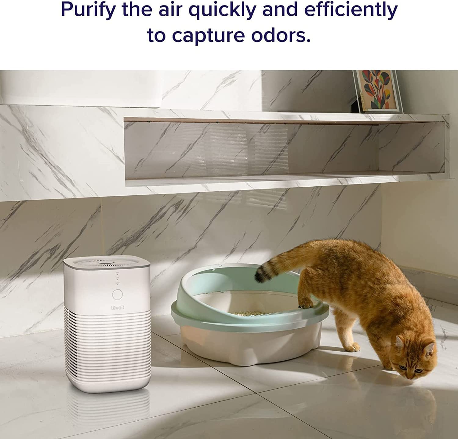 Levoit air purifier efficiently captures odors, ideal for pet owners, ensuring a fresh environment in rooms with cat litter boxes