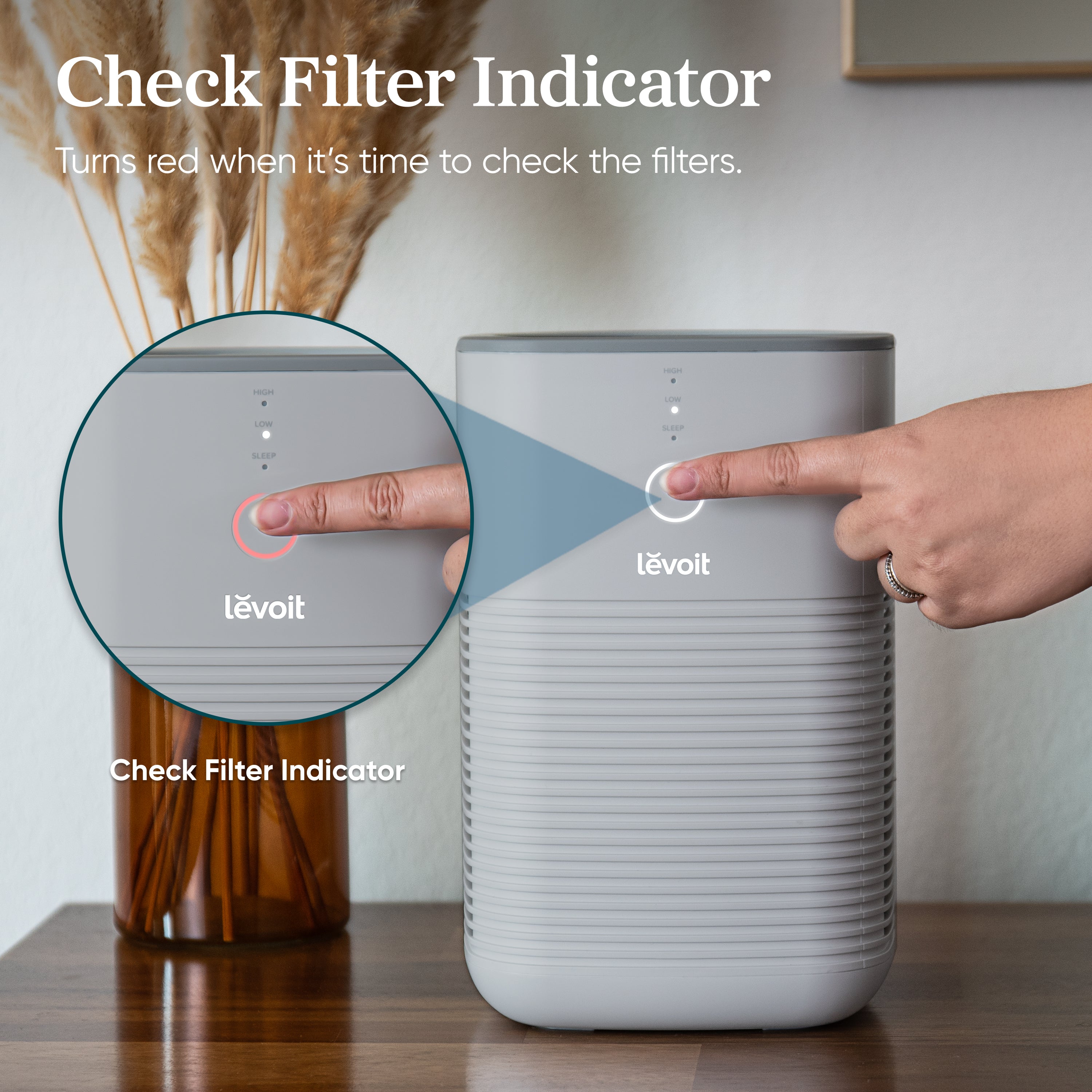 Levoit  Desktop True HEPA Air Purifier