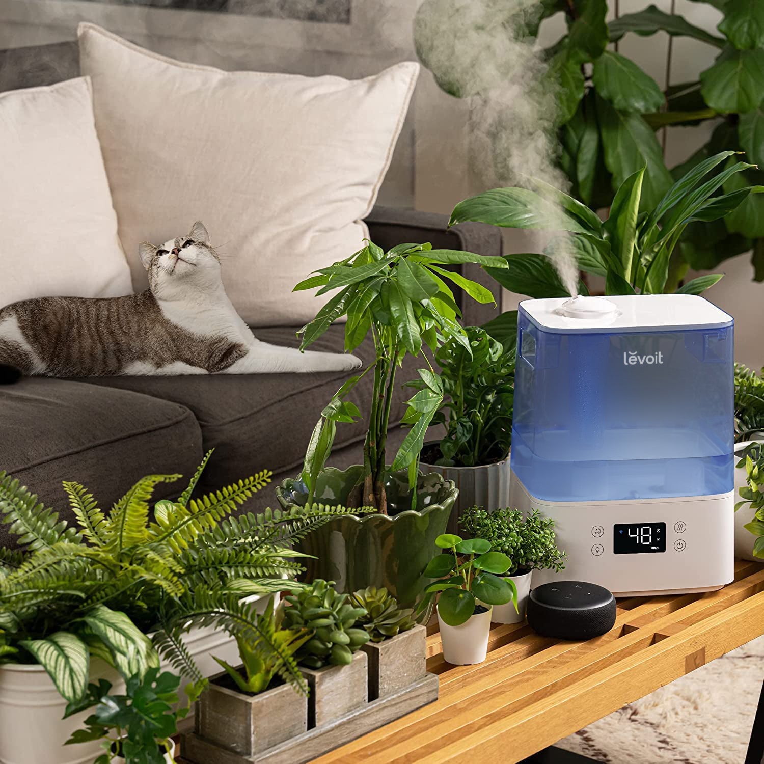 Levoit Classic 300S Humidifier surrounded by plants and a cat, enhancing your home's atmosphere with clean, fresh air