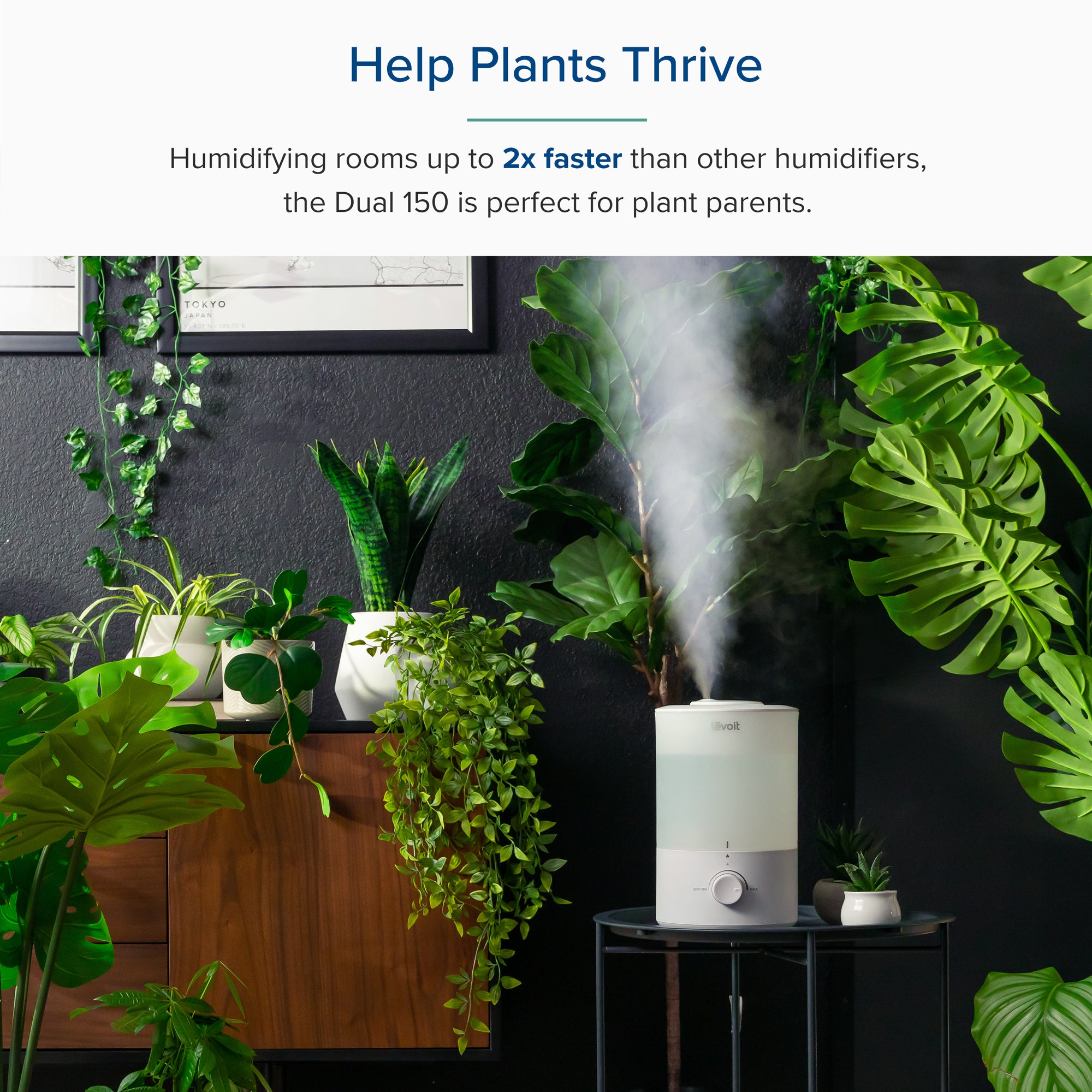 Levoit Dual 150 humidifier helping plants thrive by humidifying rooms 2x faster, ideal for plant parents