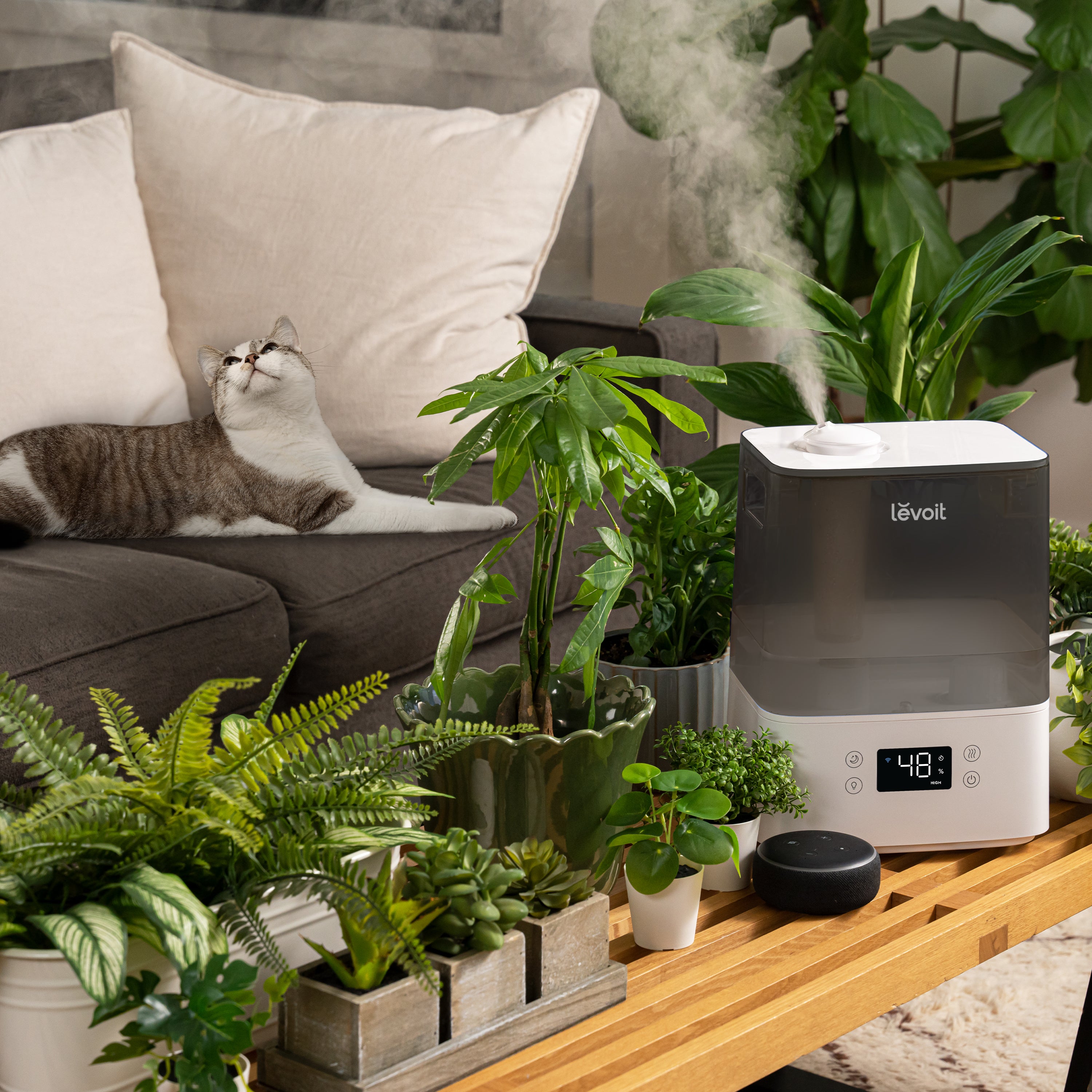 Levoit Classic 300S Humidifier, pet-friendly, ideal for homes with pets