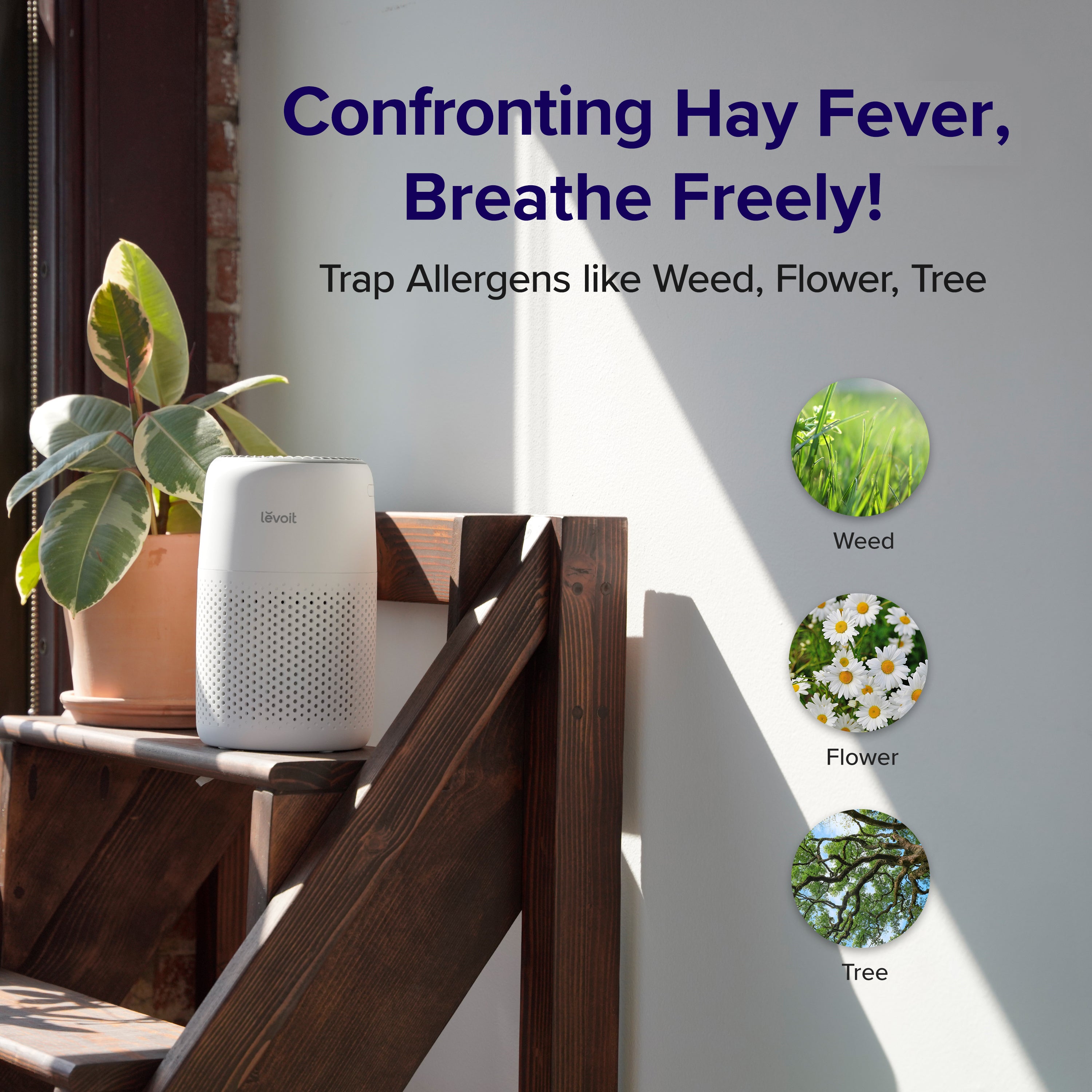 Levoit Core Mini Air Purifier