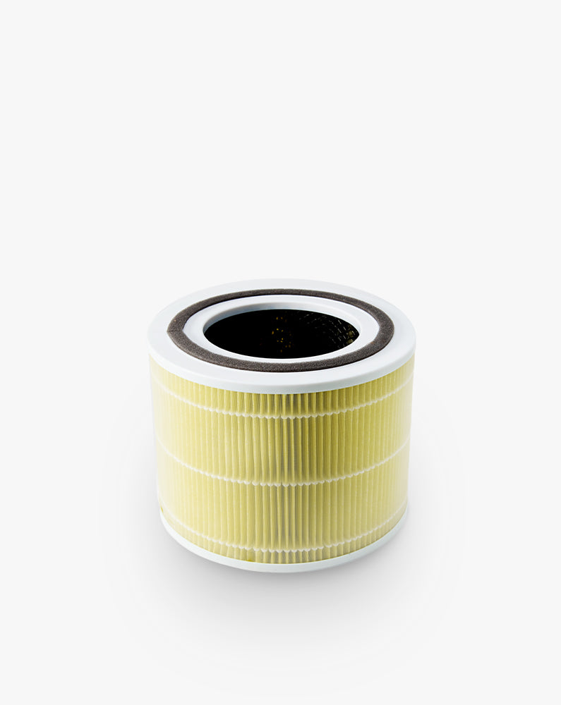 Levoit Core 300/300S Air Purifier Pet Allergy Replacement Filter
