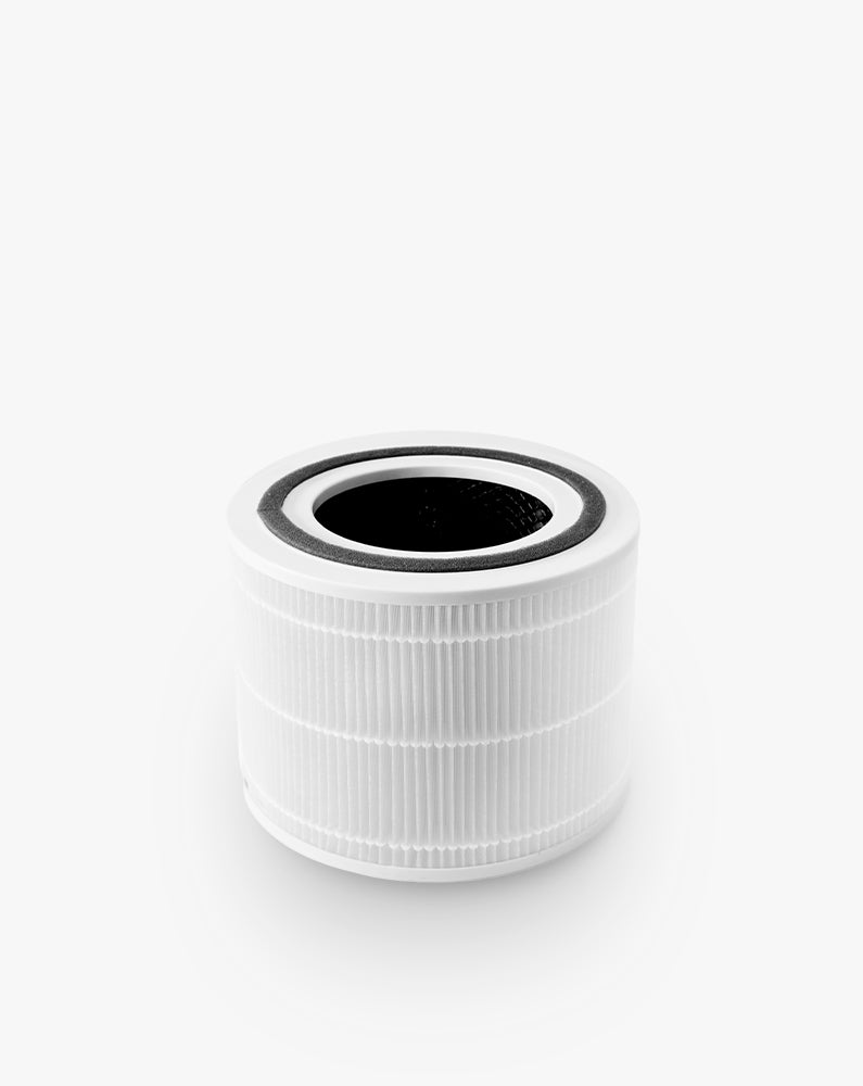 Core 300 300S Air Purifier Replacement Filter